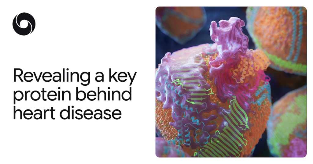 Revealing a Key Protein Behind Heart Disease src 1tyjtnd featured